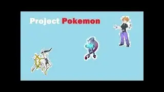 Hacked Project Pokemon Beating elite four with only arceus and mewtwo