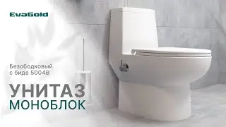 Обзор унитаза-моноблока 5004B EvaGold