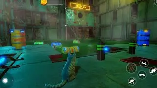 stray cat simulator game #hem532