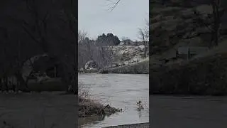 Detour Ahead: River in Charge Benton City WA 👀🚧😳 #trending #shorts #viral