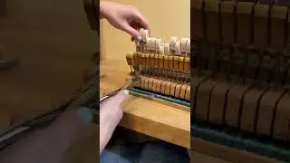 In the shop 🎹 &mdash; 1882 Steinway Model C Rebuild Work!