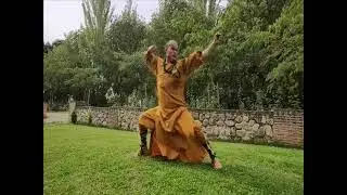 Kung Fu  通背拳示範 Shaolin Tong Bei Quan by GrandMaster Senna