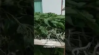 silkworm heater sales available 7373557374