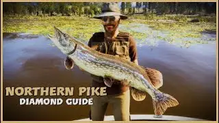 The ANGLER | Diamond Pike Guide