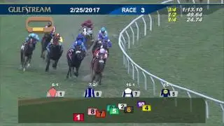 Gulfstream Park Race 3 | February 25, 2017