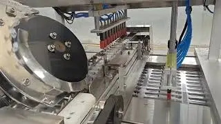 syringe auto loader for soft blister packing machine