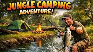 SOLO CAMPING 🏞️ SURVIVAL ASMR BUSHCRAFT | BEAUTIFUL LAKE FOREST 🏕️