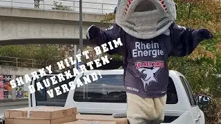 Sharky hilft beim Dauerkarten-Versand!