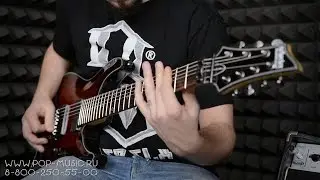 SCHECTER DAMIEN ELITE-7 FR - семиструнная электрогитара