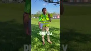 Tree risk assessment by certified arborist.