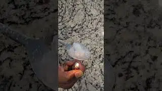 IS THIS SNOW FAKE? well they say it is #trends  #texasicestorm2026 #icestorm #snow #snowstorm