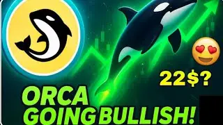 ORCA Coin Regular Pump 🚀 | ORCA Coin Price Prediction | ORCA Coin Prediction 2025| Orca Crypto