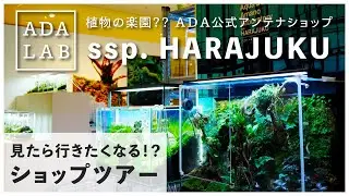 【ADA LAB HARAJUKU】原宿に期間限定オープンしたADA公式アンテナショップ 『ADA LAB HARAJUKU』の魅力を徹底紹介!! ADA パルダリウム 水草 アクアリウム