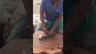 speed fish cutting  skills - village fish cutting  #fishcuting #fishcooking #fishing
