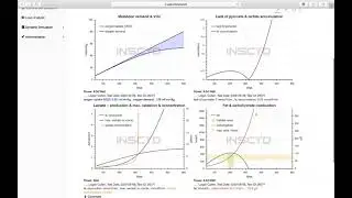 INSCYD Testing Example Athlete Report