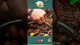 افضل طرق قياس الثعبان بكل حذر شاهد