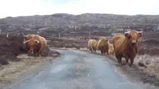 Heart of Scotland Tours