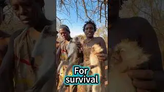 The tribal hunter has no choice#survival#monkey#lifestyle #animal