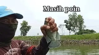 MARI KITA COBA MANCING DI PAGI HARI BOLO | KATANYA KALO PAGI IKANNYA HAUP | TERNYATA ...