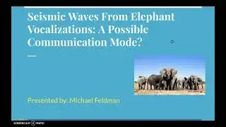 Seismic Waves From Elephant Vocalizations: A Possible Communication Mode?