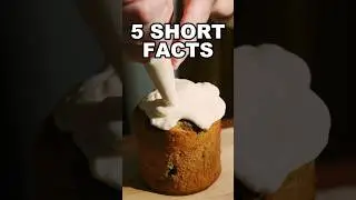 Daily facts worth - top 5 secret 254* #shorts #facts