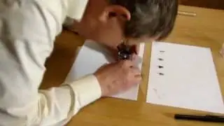 PenFountain Nib Guide