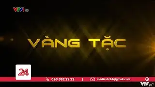 Tiêu điểm: Vàng tặc | VTV24