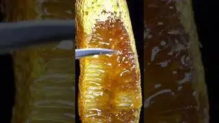 #Microview of honey #ytshorts #viral #youtubeshorts #trending