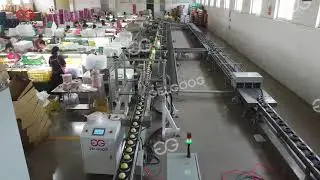 Data-Driven Fruit Sorting Solution AI Fruit Sorting