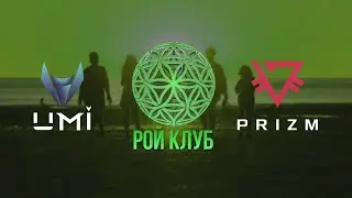 Каковы Планы Монеты UMI на БУДУЩЕЕ? | ROY CLUB