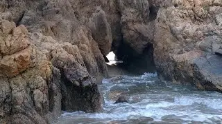 Otro día más en la costa de Sayulita De Rondín Capitulo 67