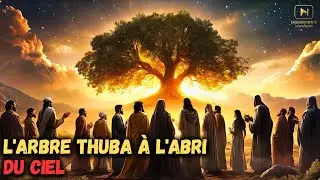 L’Arbre de Thuba : la création la plus majestueuse du Paradis qui vous laissera sans voix