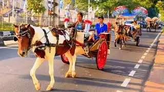 NAIK DELMAN | NAIK DELMAN ISTIMEWA | LAGU ANAK VIRAL | LAGU ANAK INDONESIA