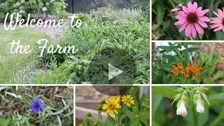 Welcome to the Naked Botanical Farm