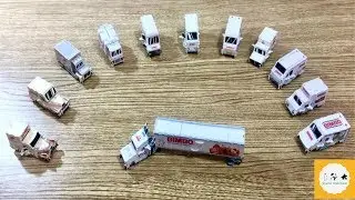Capítulo 2  ¡Una dulce colección! Carritos Bimbo armables