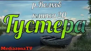 Русская Рыбалка 4 р Волхов Густера 28 06 23