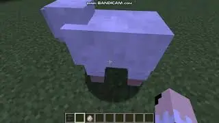 how to make a rainbow sheep in minecraft java