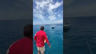 sup surfing 🌊 in paradise Maldives Part-9 #maledives #viral #travel #ocean #surfing #shorts