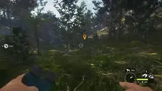 Call of the wild, trying to get diamond and the ELUSIVE GREAT ONE