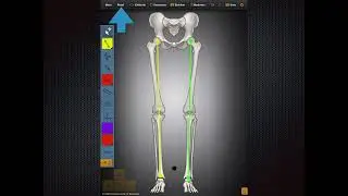 Bone Ninja