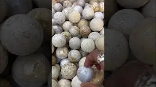 Natural Fossil Coral Stone Sphere for SELL!!! 🤩 #crystal #stone #crystalball #healing