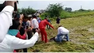 Farmers sad song