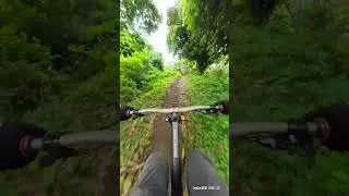 Papi's Trail Shorts #papistrail #michelledhline #downhill #enduro #cavite #tagaytay #dh