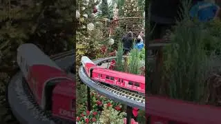 mini train in the garden. #singapore #train #garden #subscribe #shorts