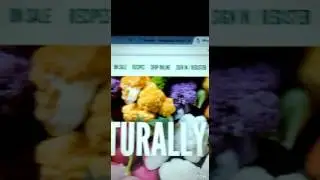 couponing for healthy eating Whole Foods