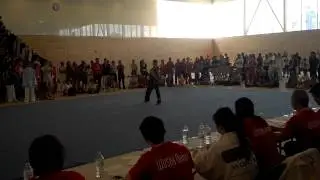 Canadian Wushu Team Trials 2013-Phillip Wong-Nanquan