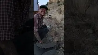 NEVER a Dull Moment Hunting Tarantulas w/ Microwilderness & Spider Shoppe!