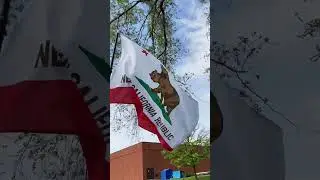 Video gaming - New California Republic