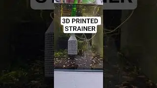 Rating 3D Printed Strainer #aquariumhobby #fishkeepinghobby #3dprinted