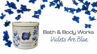 Violets Are Blue 3 Wick Candle Review | Bath & Body Works